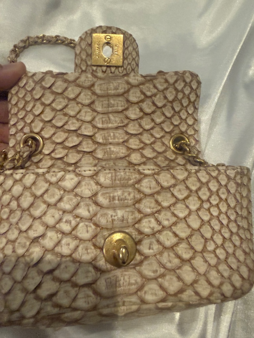 Chanel Python mini flap bag - Picture 11 of 15